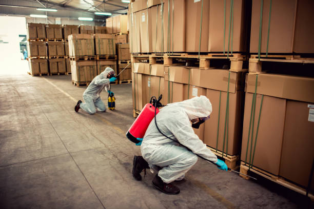 Best Residential Pest Control  in Beaufort, NC