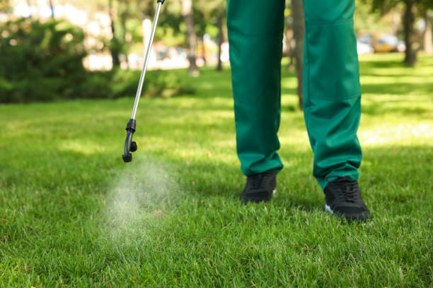 Best Affordable Pest Control Services  in Beaufort, NC