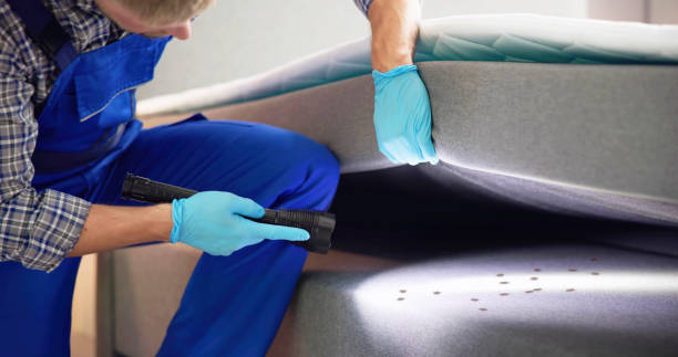 Best Best Pest Control Companies  in Beaufort, NC